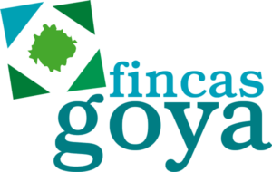 Logotipo Fincas Goya